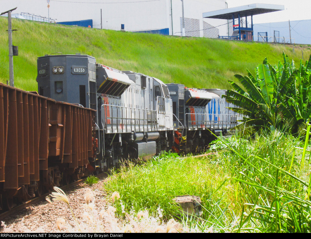 VLI 8365